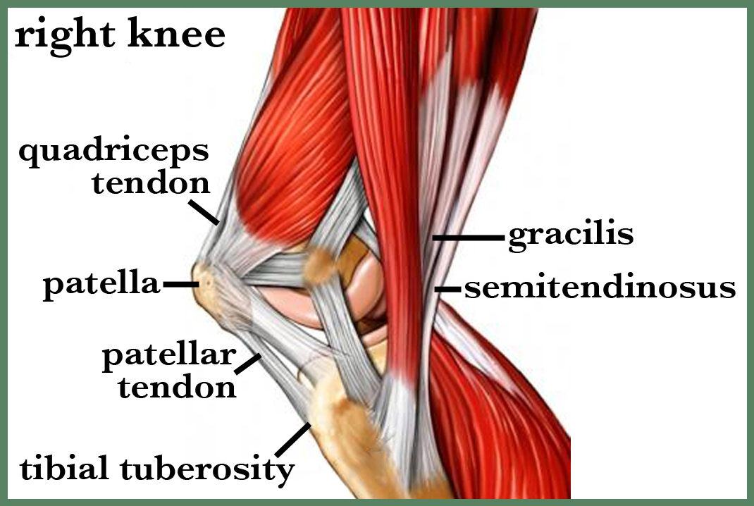 pin-on-massage-injury-and-prevention