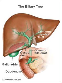 Deep Exploration Of Liver And Gallbladder Function – 266 | Medici