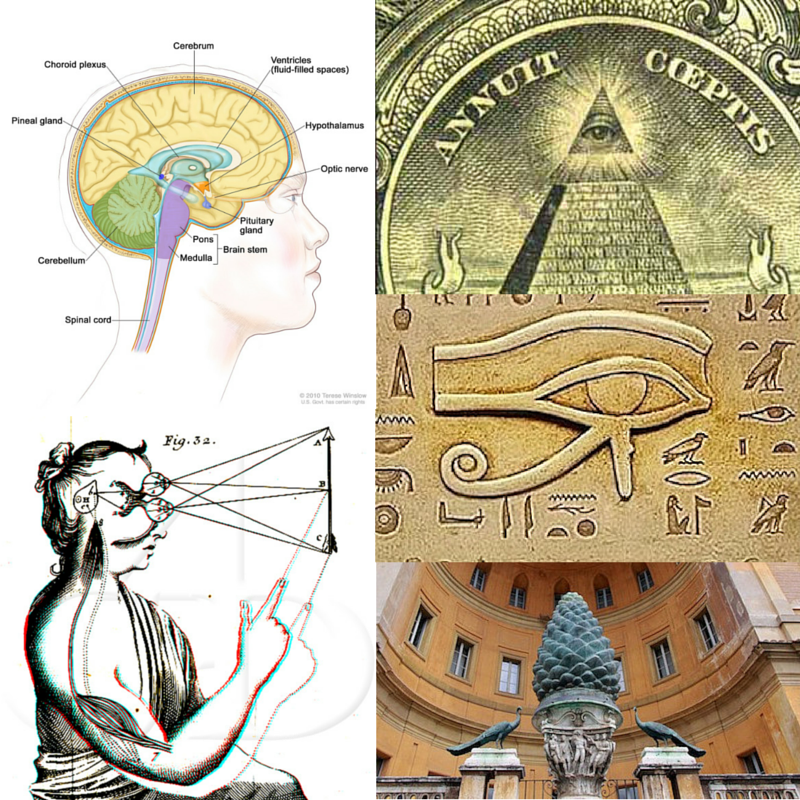 Blocked Spiritual Force And Disease: Why God Gave Us DMT And The Pineal  Gland – 283 | Medici Enterprises