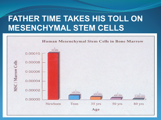 number-of-mesenchymal-stem-cells-as-we-age